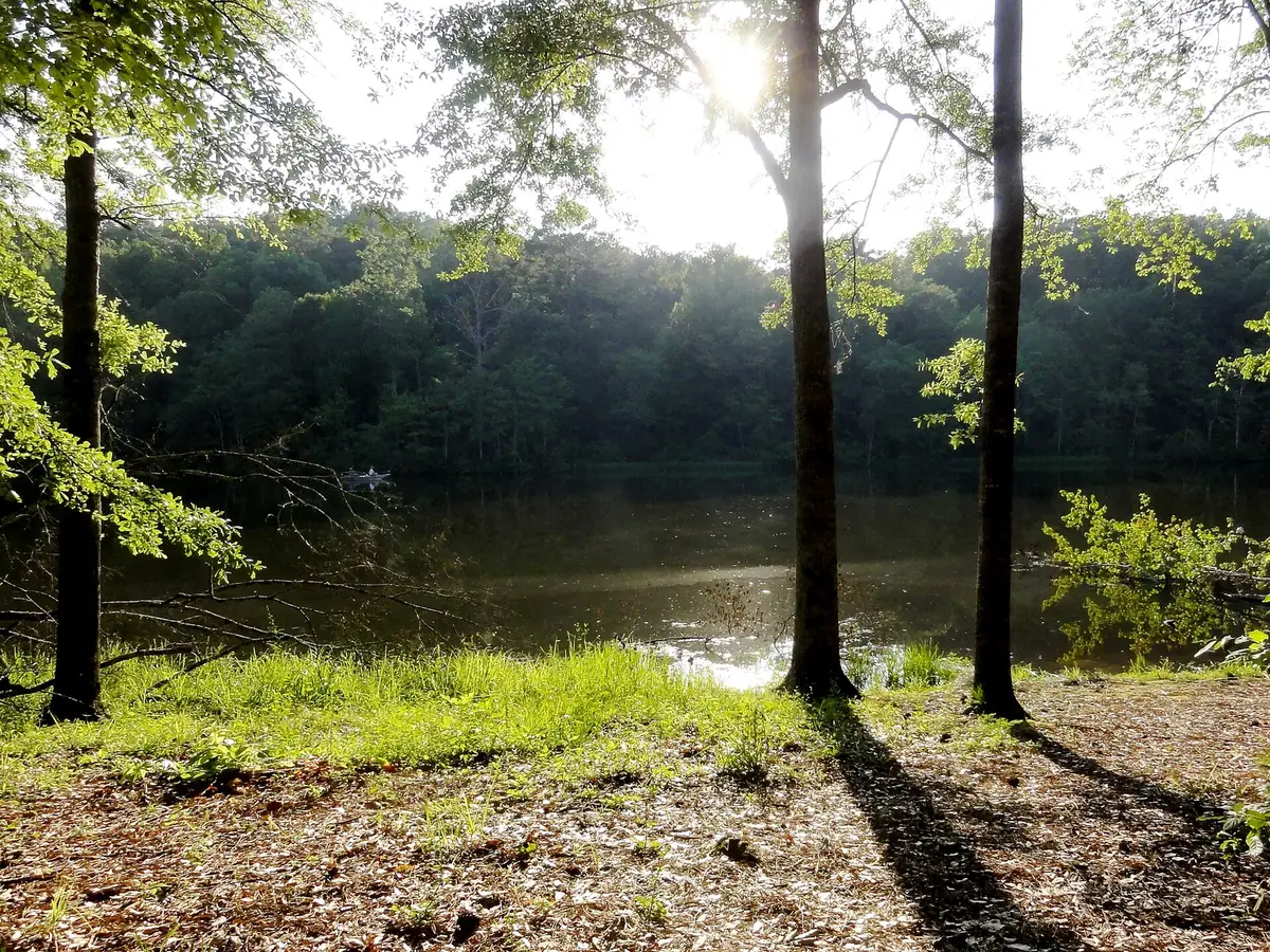 Morning sun on Lake Lurleen at Lake Lurleen State Park, northwest of Tuscaloosa, which has a swimming beach in summer.